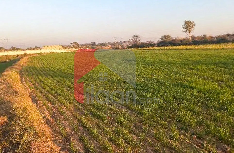 19 Kanal Agricultural Land for Sale in Phase 8 Extension, Bahria Town,, Rawalpindi