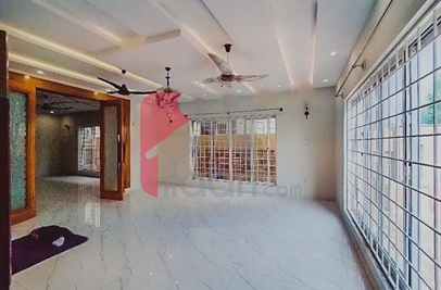 1 Kanal House for Rent (Ground Floor) in Phase 7, Bahria Town, Rawalpind