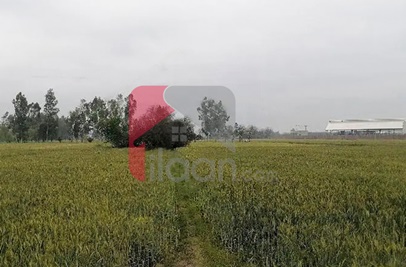 13 Kanal Industrial Land for Sale on Jaranwala Road, Faisalabad