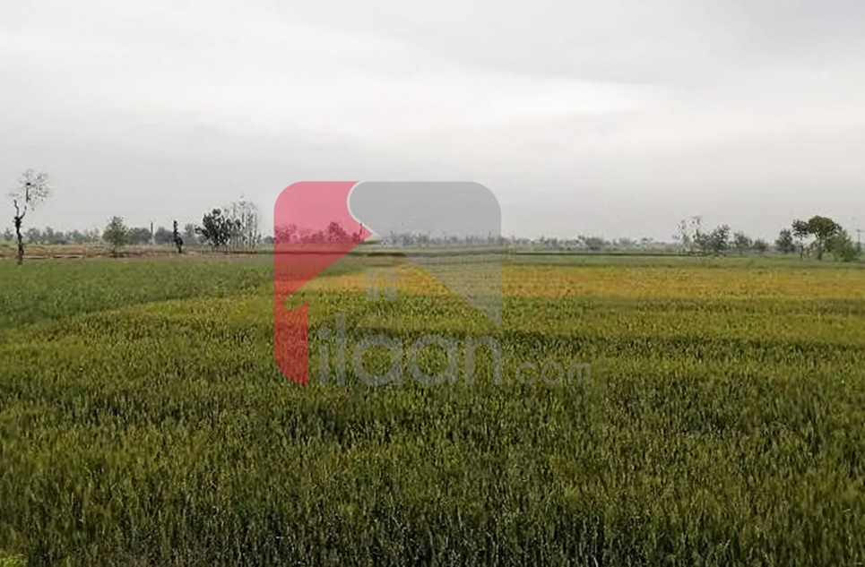42 Kanal Agricultural Land for Sale on Jaranwala Road, Faisalabad