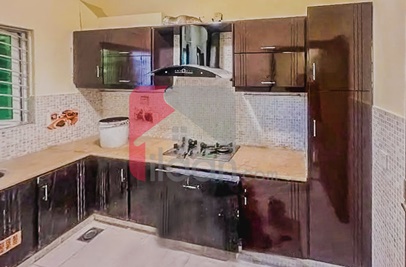 5 Marla House for Rent (Ground Floor) in D-12, Islamabad