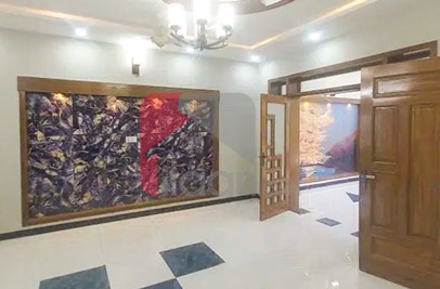 1 Kanal House for Rent in I-8/4, I-8, Islamabad