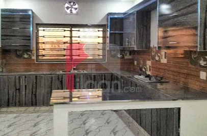 8 Marla House for Rent in Multi Gardens B-17, Islamabad