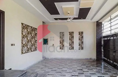 10 Marla House for Rent (Ground Floor) in Executive Block, Eden Garden, Faisalabad