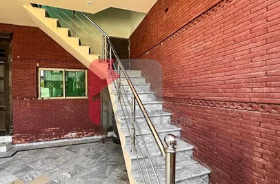 7 Marla House for Rent (Ground Floor) in Block F, Eden Garden, Faisalabad 