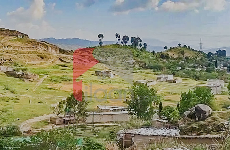 150 Kanal Agricultural Land for Sale on Mansehra Road, Mansehra