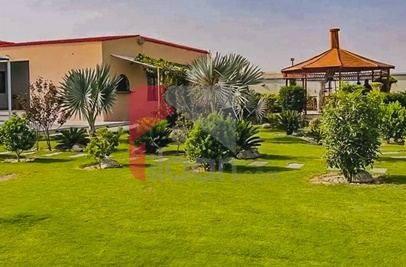 2 Kanal Farmhouse for Sale in Orchard Greenz Luxury Farm House Society, Bedian Road, Lahore