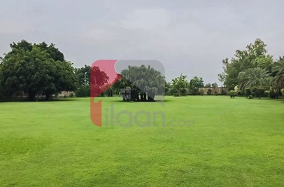 49 Kanal Farmhouse for Sale on Bedian Road, Lahore