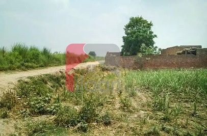 10 Kanal Agricultural Land for Sale on Jati Umra Road, Lahore