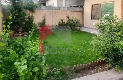 1 Kanal House for Rent in Bani Gala, Islamabad