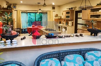 4 Kanal Farm House for Rent on Bedian Road, Lahore