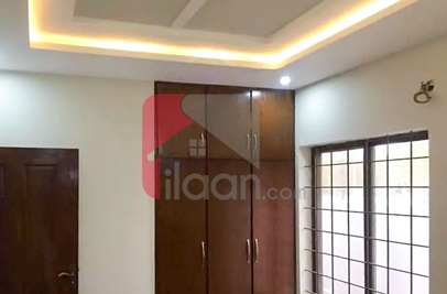 5 Marla House for Rent in Bahria Orchard, Lahore