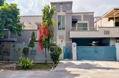 10 Marla House for Rent in Phase 5, DHA Lahore