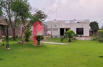 8 Kanal Farmhouse for Sale on Bedian Road, Lahore