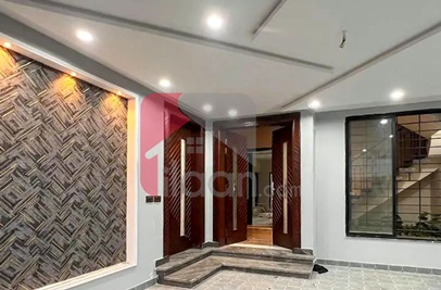 10 Marla House for Sale in Block E, Phase 1, Wapda Town, Multan