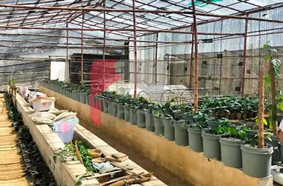 4000 Sq.yd Agricultural Land for Sale in Scheme 45, Karachi