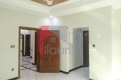 14.2 Marla House for Rent in I-8/4, I-8, Islamabad