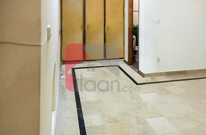 1 Kanal House for Rent (Ground Floor) in E-11/3, E-11, Islamabad