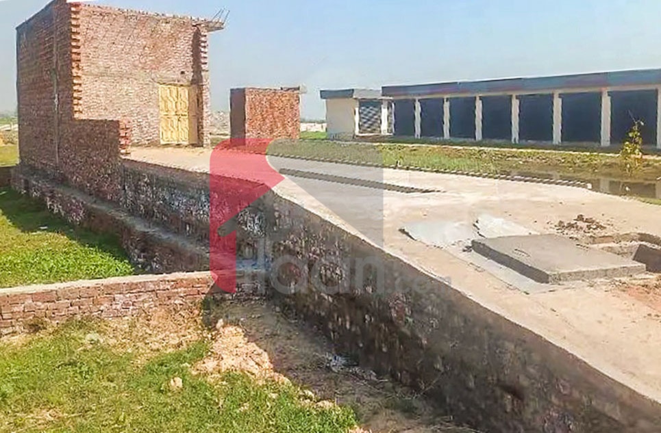 15 Kanal Agricultural Land for Sale in Kot Mandianwala, Sialkot