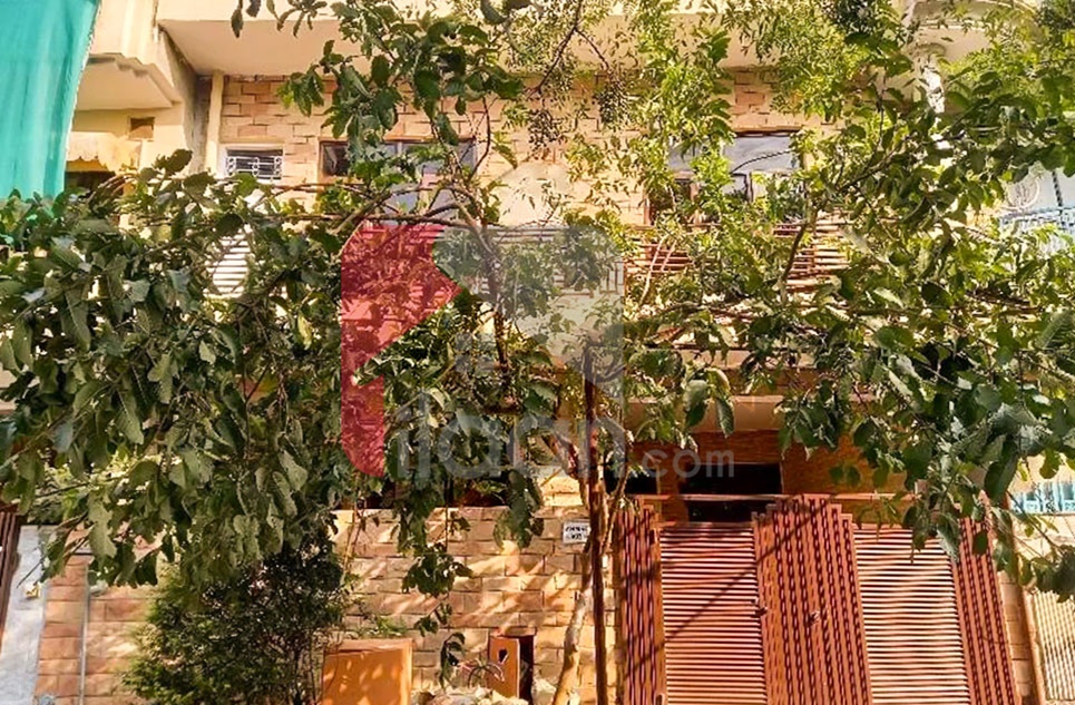 5.6 Marla House for Sale in G-11, Islamabad
