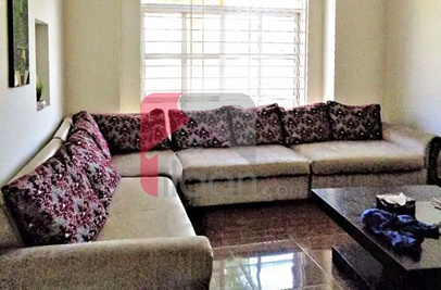 6 Marla House for Rent in Rafi Block, Phase 8, Bahria Town, Rawalpindi