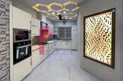 7 Marla House for Rent in Phase 8, Bahria Town, Rawalpindi