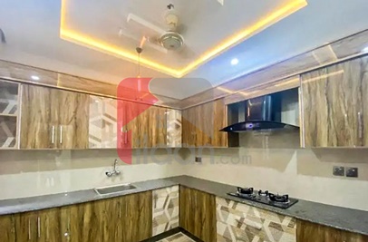 10 Marla House for Rent in Phase 8, Bahria Town, Rawalpindi