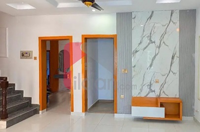 5 Marla House for Sale in Ali Block, Safari Valley, Phase 8, Bahria Town, Rawalpindi
