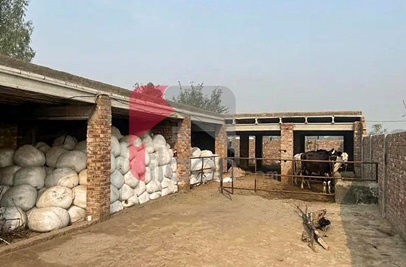 1 Kanal Farmhouse for Sale on Bedian Road, Lahore
