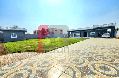 4 Kanal Farmhouse for Sale on Bedian Road, Lahore
