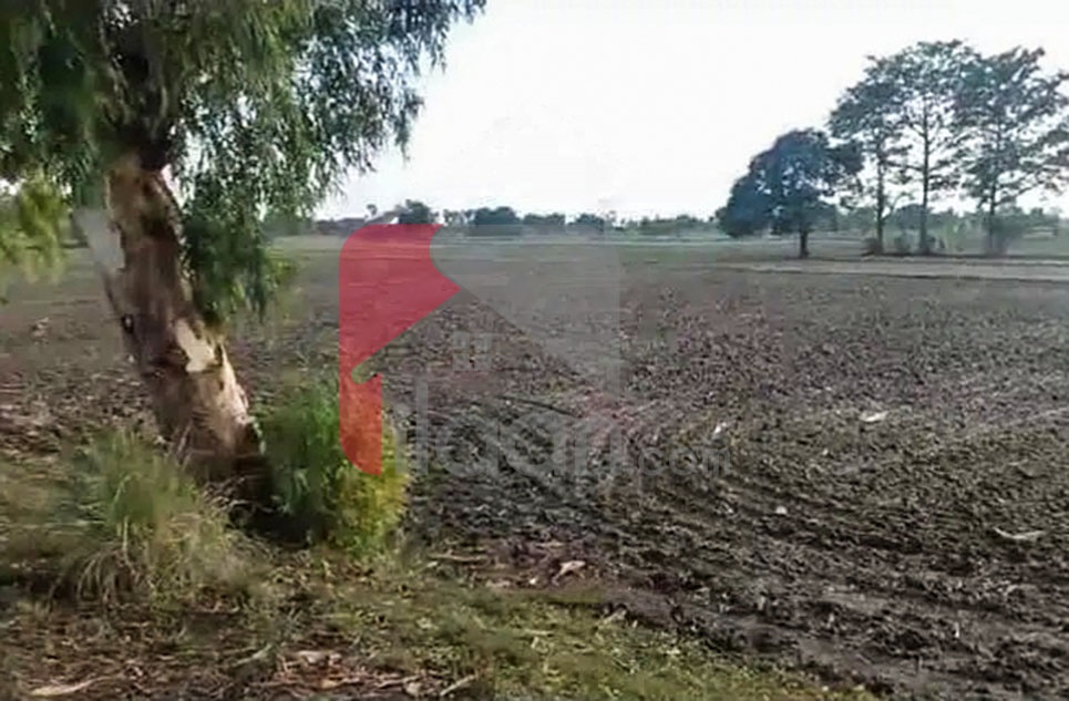 8 Kanal Agricultural Land for Sale on Bedian Road, Lahore