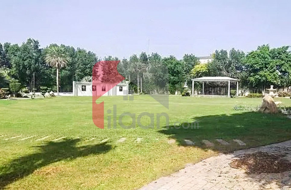 8 Kanal Farm House for Rent on Bedian Road, Lahore