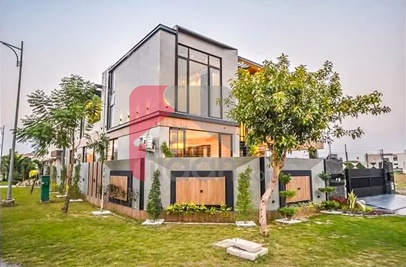 10 Marla House for Rent in Phase 6, DHA Lahore