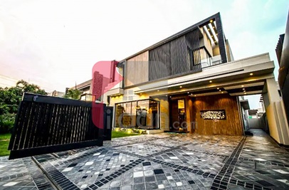 1 Kanal House for Rent in Phase 5, DHA Lahore