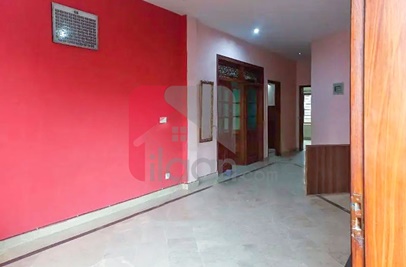 10 Marla House for Rent (First Floor) in E-11, Islamabad