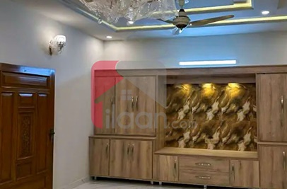 14.2 Marla House for Rent (First Floor) in G-14, Islamabad