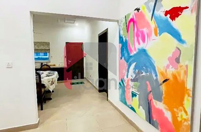 1 Kanal House for Rent (First Floor) in Margalla Valley, C-12, Islamabad