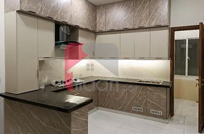 2444 Sq.yd House for Rent (Ground Floor) in Block 3, PECHS, Karachi