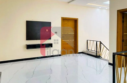 10 Marla House for Rent in Chak 208 Road, Faisalabad