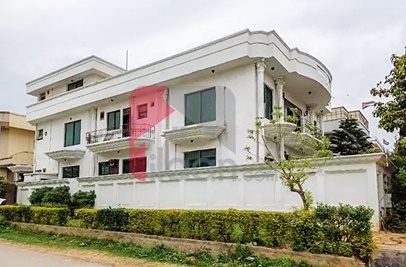 1.3 Kanal House for Rent in F-11, Islamabad