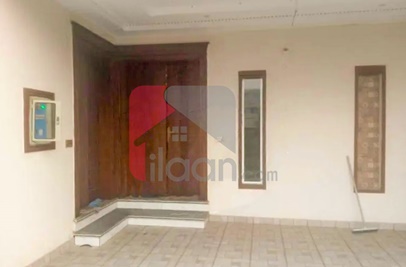 10 Marla House for Rent (Ground Floor) in Wapda City, Faisalabad 